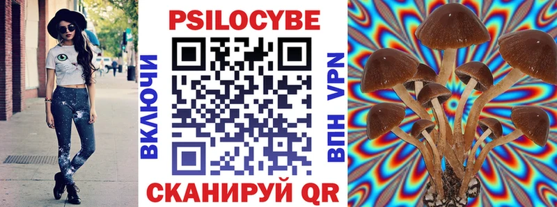 дарнет шоп  kraken как войти  Галлюциногенные грибы прущие грибы  Новоалтайск 