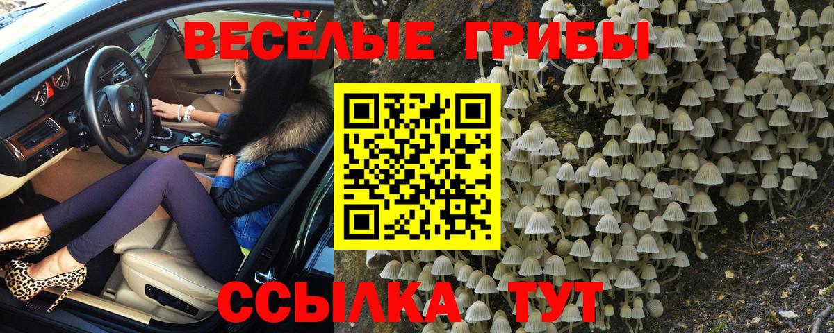 Новоалтайск  Псилоцибиновые грибы MAGIC MUSHROOMS  Вход с VPN 